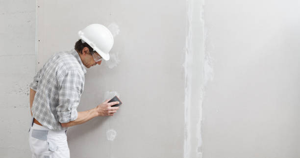 Best Eco-Friendly and Low-VOC Painting  in Val Verde, CA